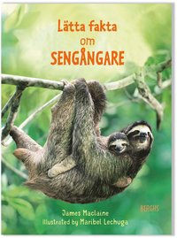 Lätta fakta om sengångare