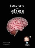 Ltta fakta om hjrnan
