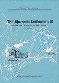 The Bjurselet settlement III : finds and features : excavation report for 1962 to 1968