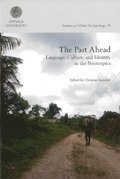 The past ahead : language, culture, and identity in the Neotropics