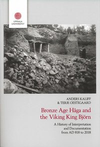 Bronze age Hga and the Viking King Bjrn : a history of interpretation and documentation from AD 818 to 2018