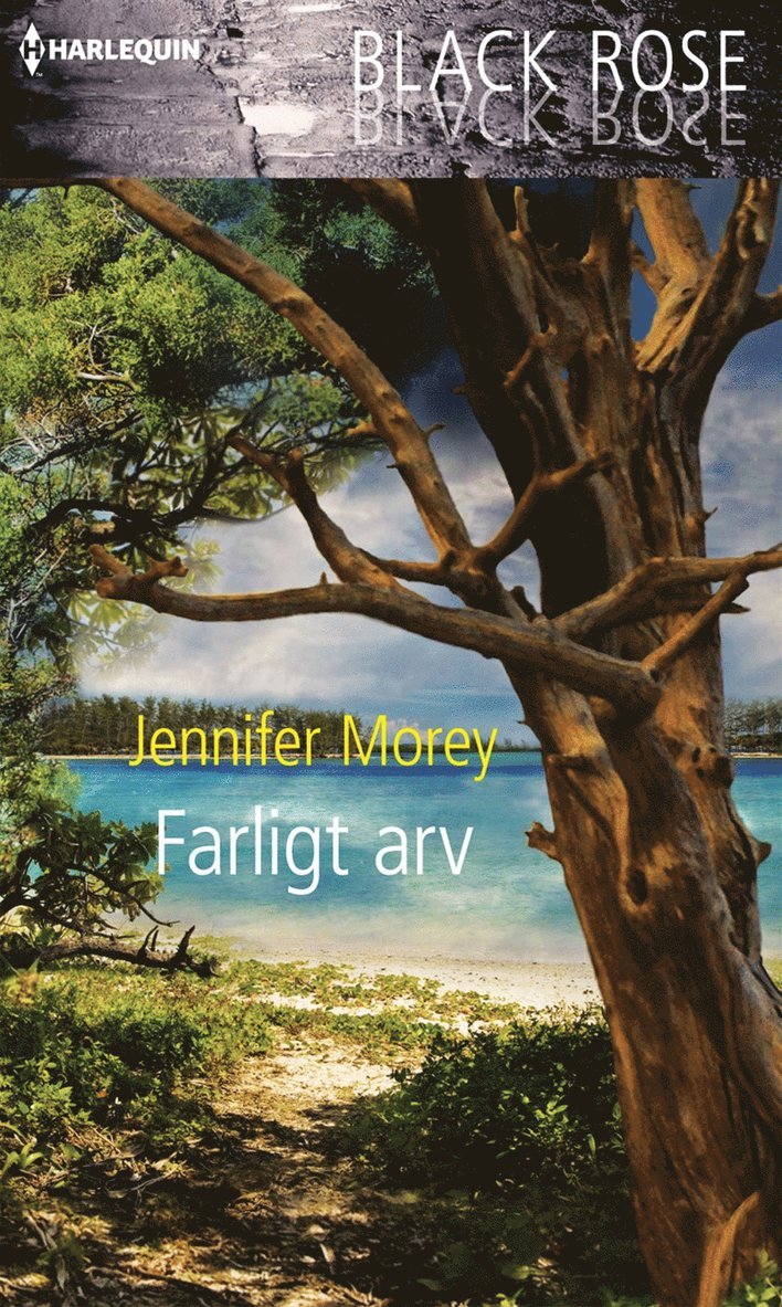 Jennifer Morey - Farligt arv, E-bok