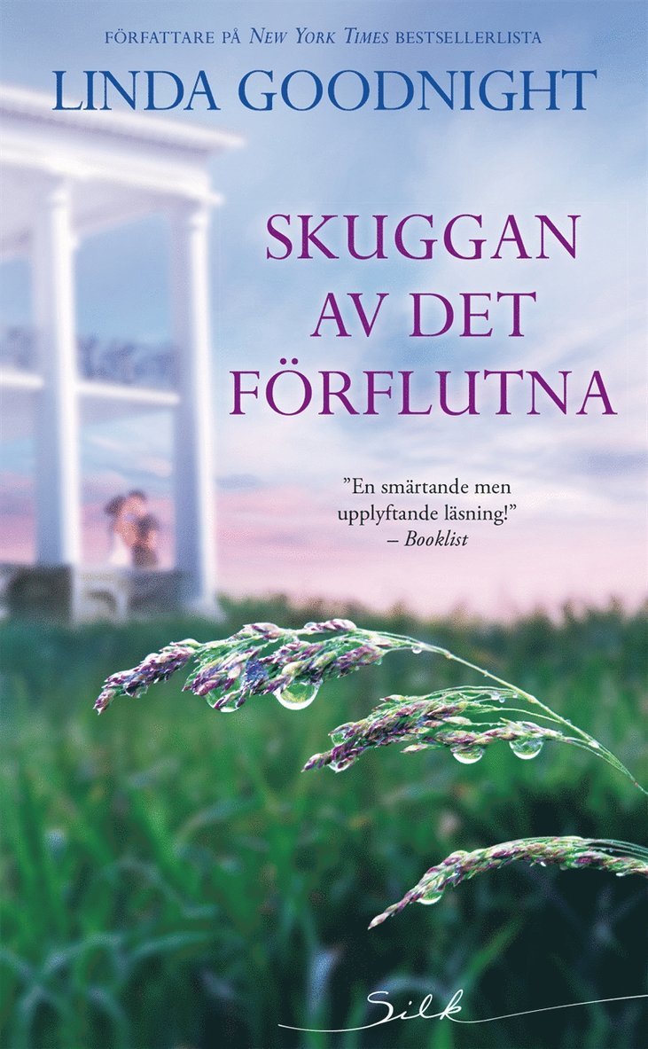 Linda Goodnight - Skuggan av det förflutna, E-bok