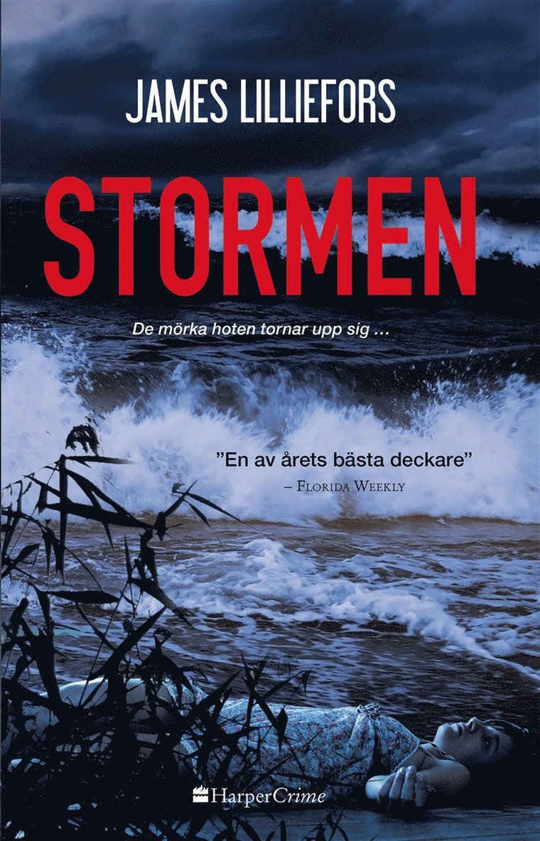 James Lilliefors - Stormen, E-bok