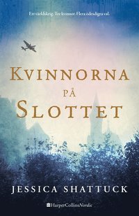 e-Bok Kvinnorna på slottet <br />                        E bok