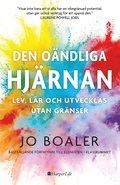 Den oändliga hjärnan