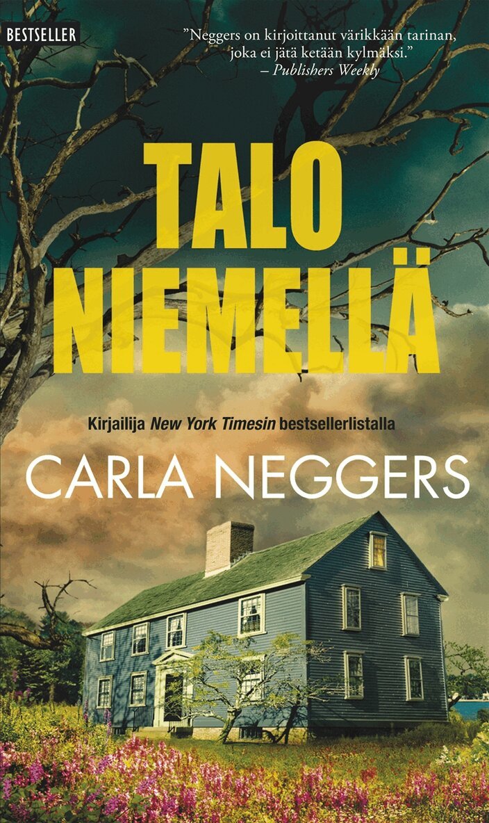 Carla Neggers - Talo niemellä, E-bok