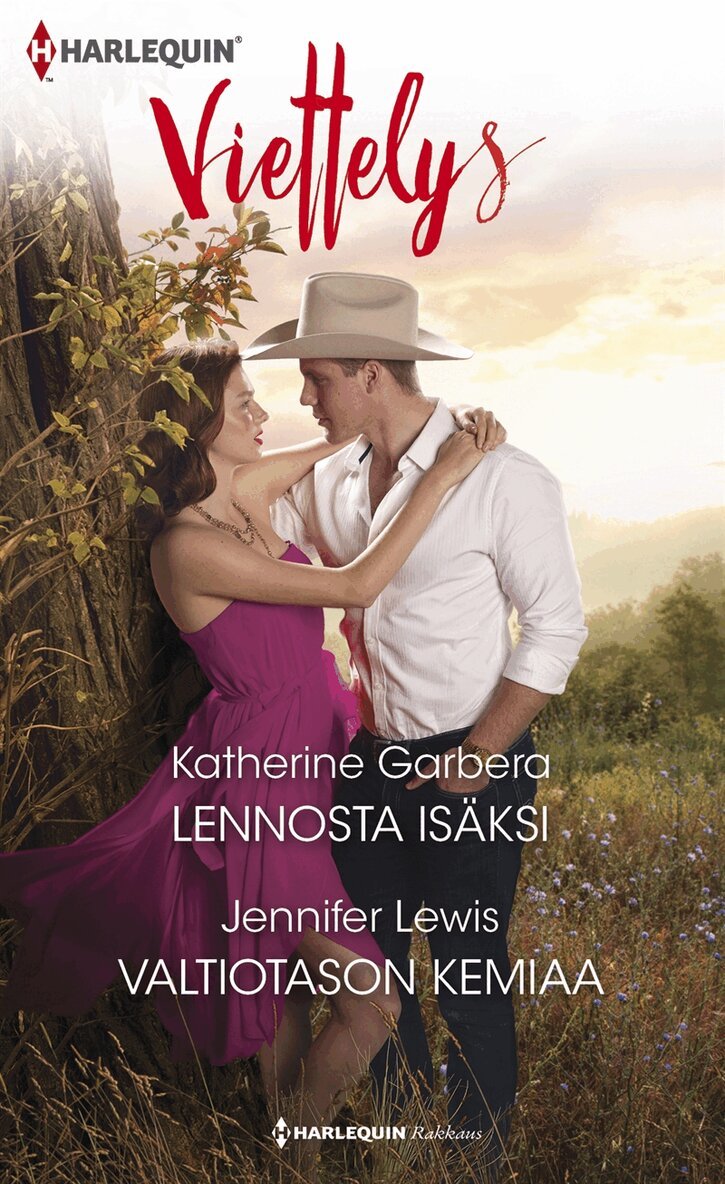 Katherine Garbera, Jennifer Lewis - Lennosta isäksi / Valtiotason kemiaa, E-bok