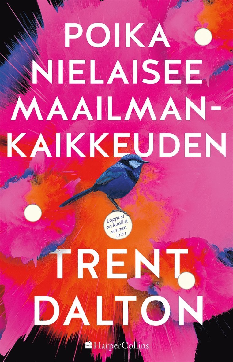 Trent Dalton - Poika nielaisee maailmankaikkeuden, E-bok