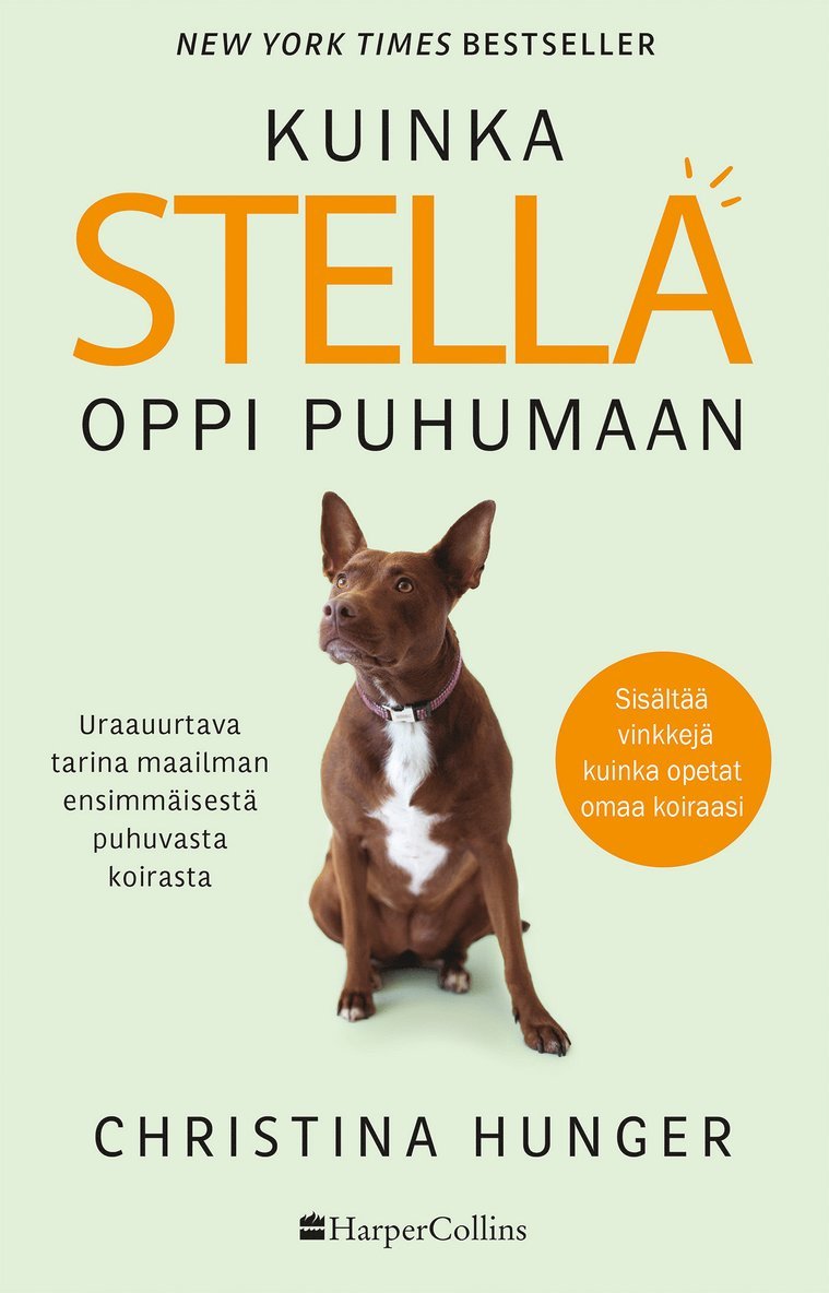Christina Hunger - Kuinka Stella oppi puhumaan, E-bok