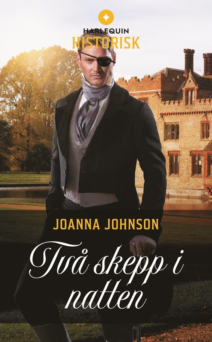 Joanna Johnson - Två skepp i natten, E-bok