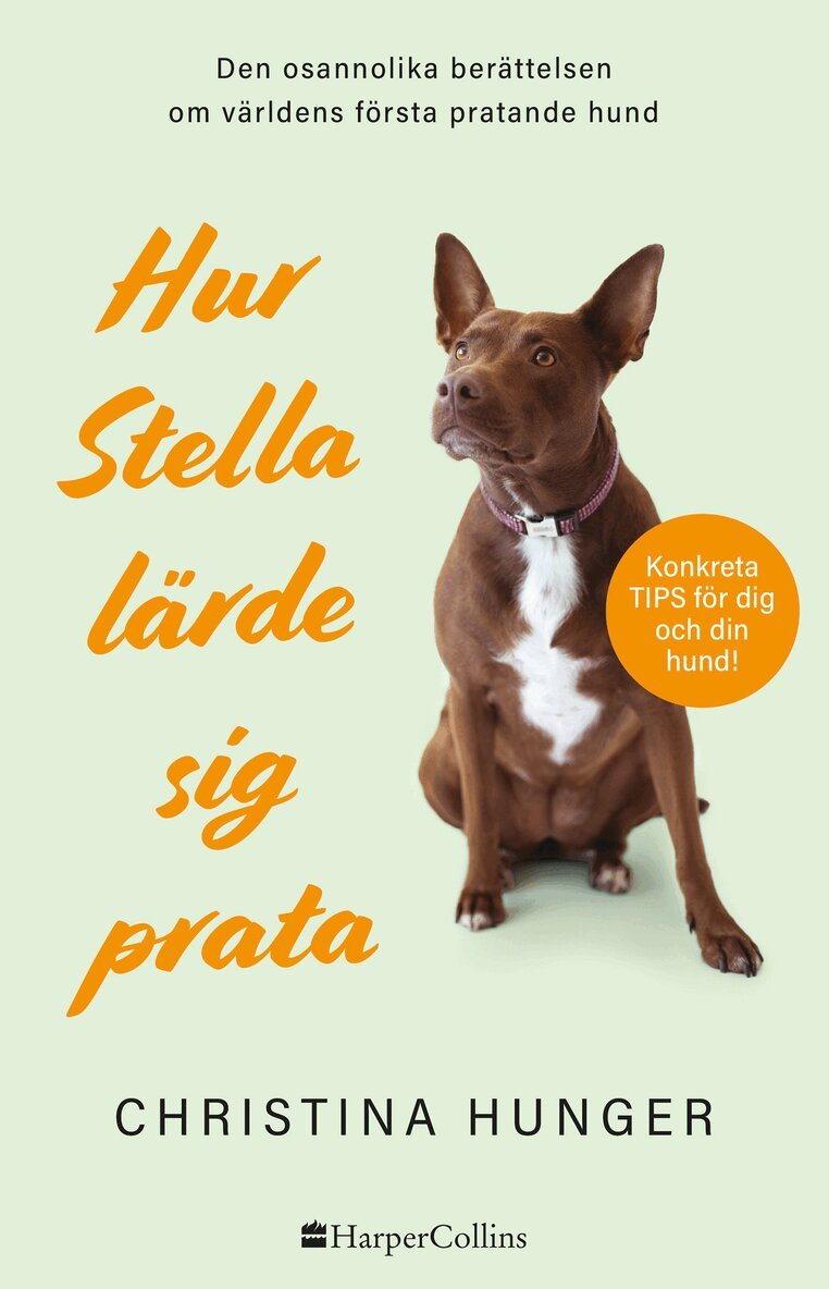Christina Hunger - Hur Stella lärde sig prata, Inbunden
