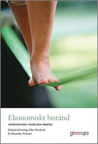 Ekonomiskt bistnd - intervention i teori och praktik