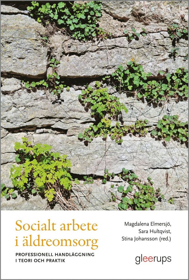 Socialt arbete i äldreomsorg : professionell handläggning i teori och praktik, Häftad