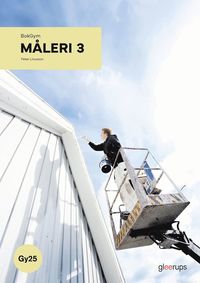 BokGym Mleri 3, bok, Gy25