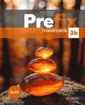 Prefix matematik 2b, bok, Gy25