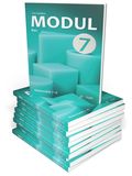 Modul matematik 7, bas, 10 ex