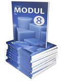 Modul matematik 8, bas, 10 ex