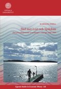 Bad mot lort och sjukdom: Den privathygieniska utvecklingen i Sverige 1880-1949