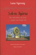 Solens hjrta : hur man trnar sitt sinne - spegeln som klargr allt