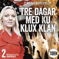 Bergfeldts Amerika. S2A2, Tre dagar med Ku Klux Klan