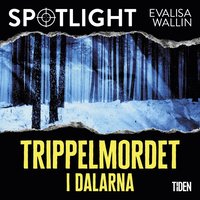 Trippelmordet i Dalarna