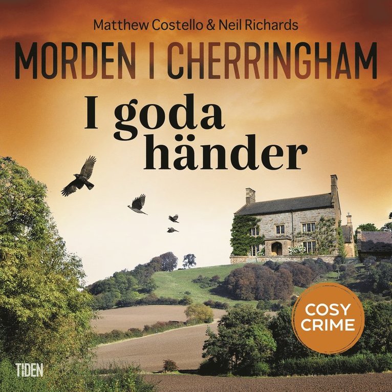 Matthew Costello, Neil Richards - I goda händer, Ljudbok