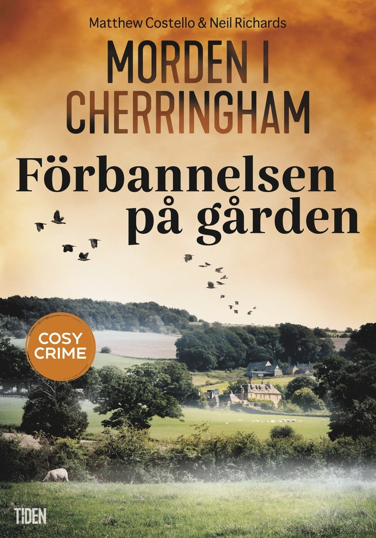 Matthew Costello, Neil Richards - Förbannelsen på gården, E-bok