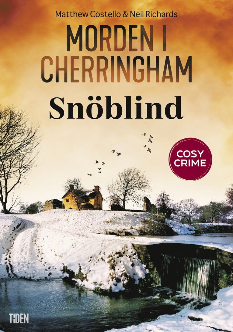 Matthew Costello, Neil Richards - Snöblind, E-bok