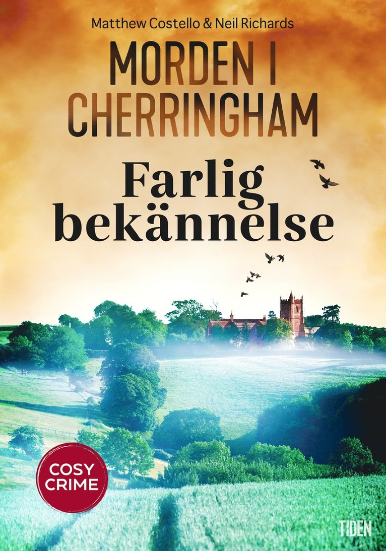 Matthew Costello, Neil Richards - Farlig bekännelse, E-bok