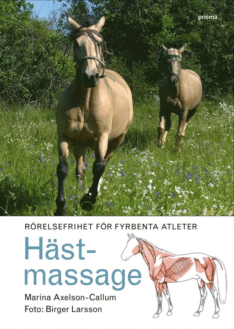 Marina Axelson-Callum - Hästmassage : Rörelsefrihet för fyrbenta atleter, Kartonnage