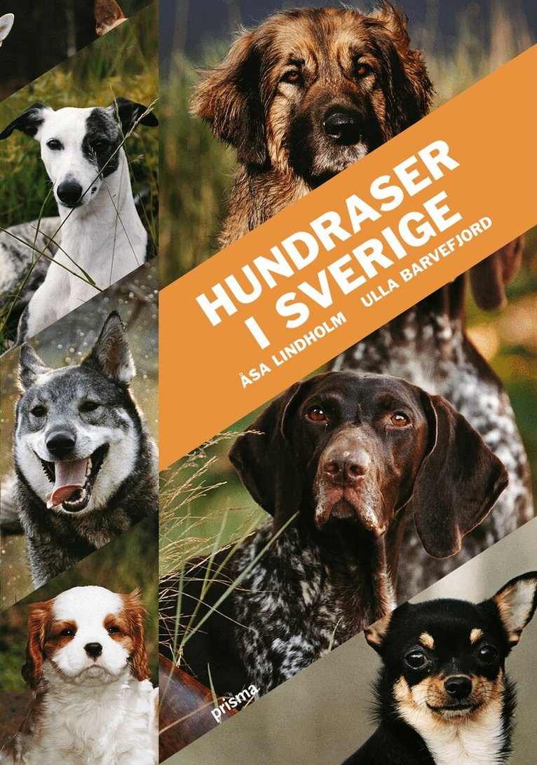 Ulla Barvefjord - Hundraser i Sverige, Inbunden