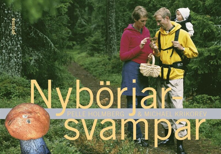 Pelle Holmberg - Nybörjarsvampar, Kartonnage