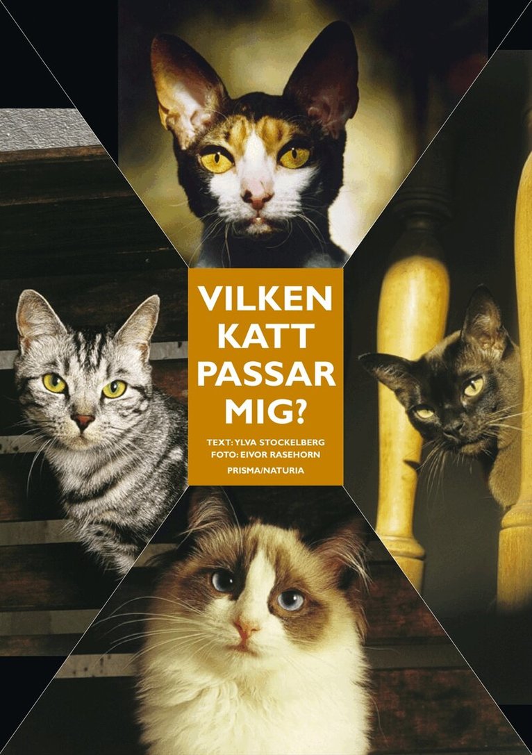 Ylva Stockelberg - Vilken katt passar mig? : Ingen katt är den andra lik, Kartonnage