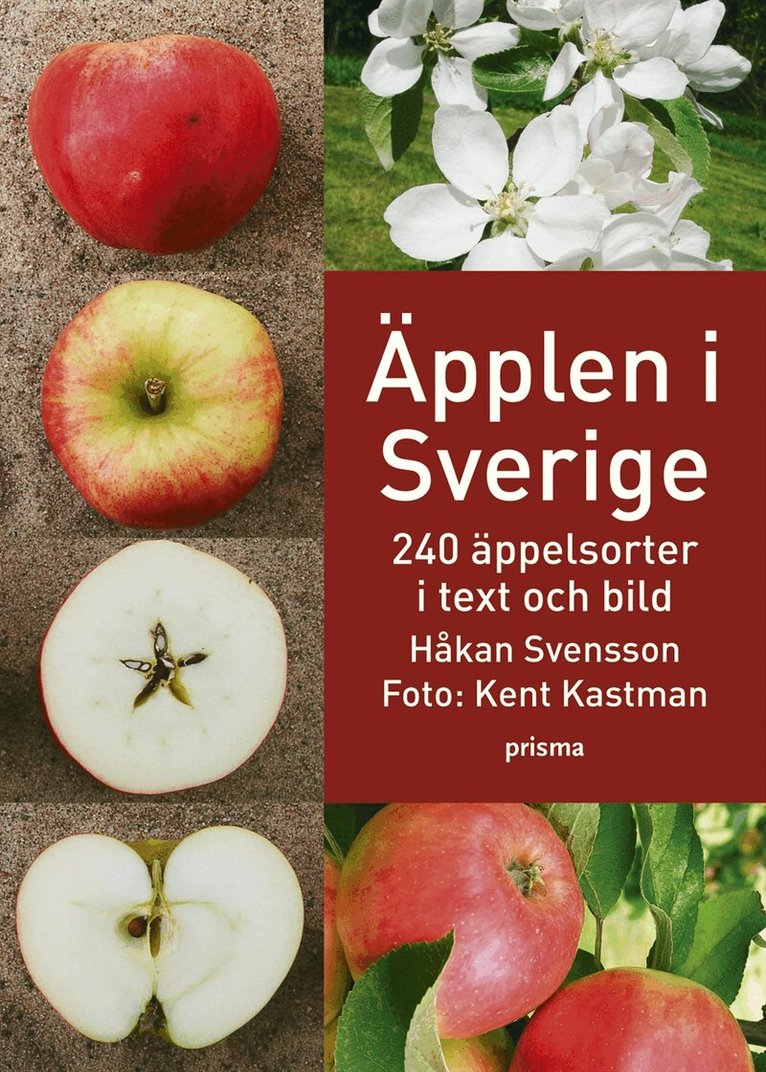 Håkan Svensson - Äpplen i Sverige : 240 äppelsorter i text och bild, Inbunden