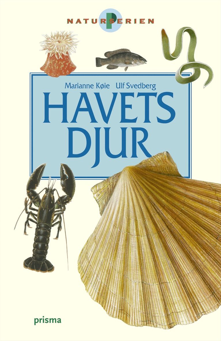 Marianne Köie - Havets djur, Kartonnage