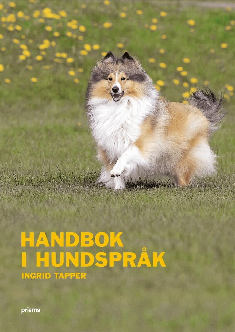 Ingrid Tapper - Handbok i hundspråk, Kartonnage