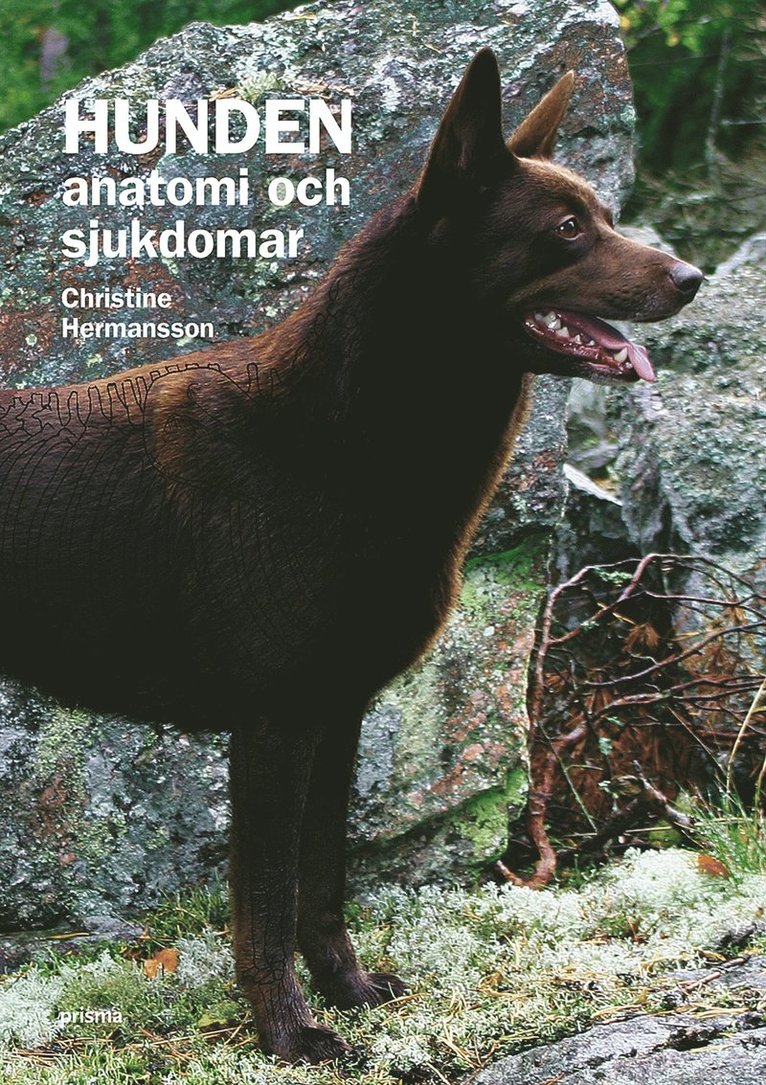 Christin Hermansson - Hunden : anatomi och sjukdomar, Kartonnage