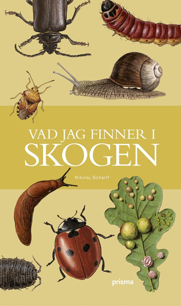 Håkan Elmquist, Nikolaj Scharff - Vad jag finner i skogen, Inbunden