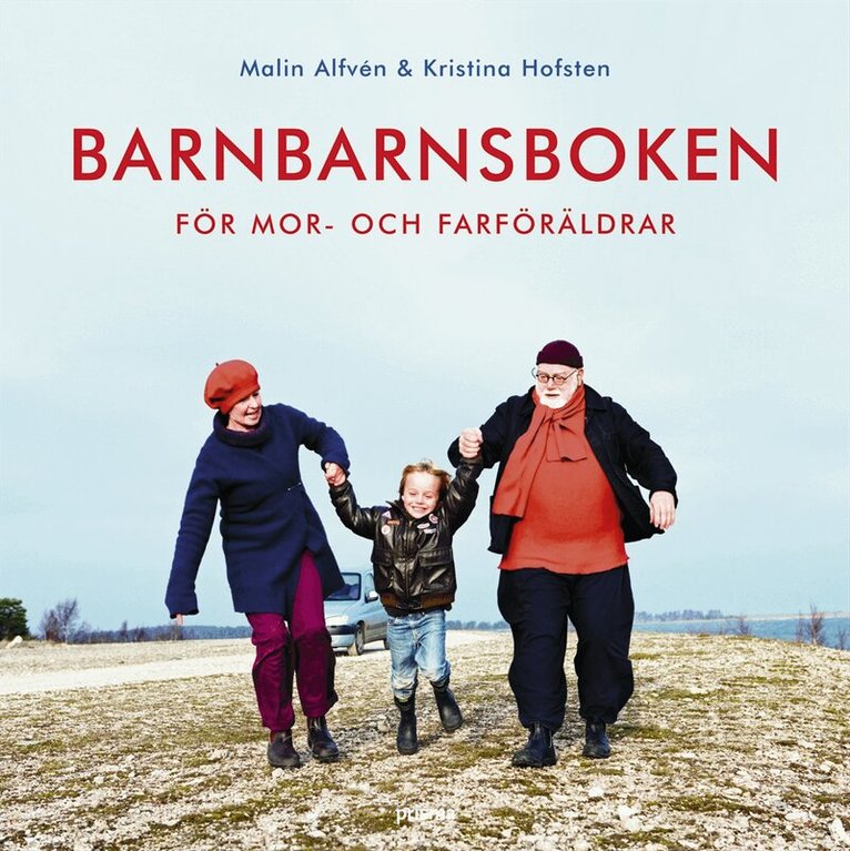 Kristina Hofsten, Malin Alfvén - Barnbarnsboken : för mor- och farföräldrar, Inbunden