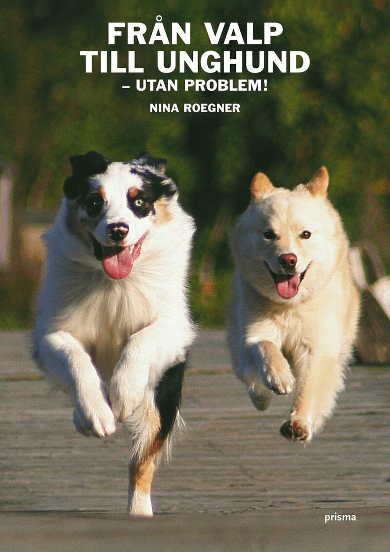 Nina Roegner - Från valp till unghund : utan problem!, Kartonnage