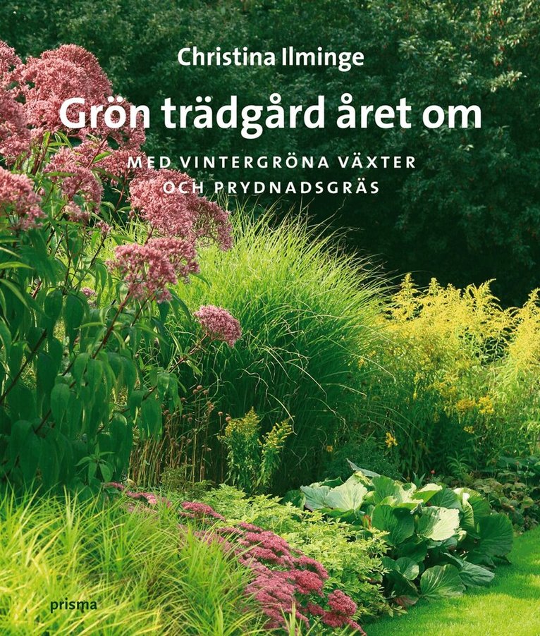Christina Ilminge - Grön trädgård året om : med vintergröna växter och prydnadsgräs, Inbunden