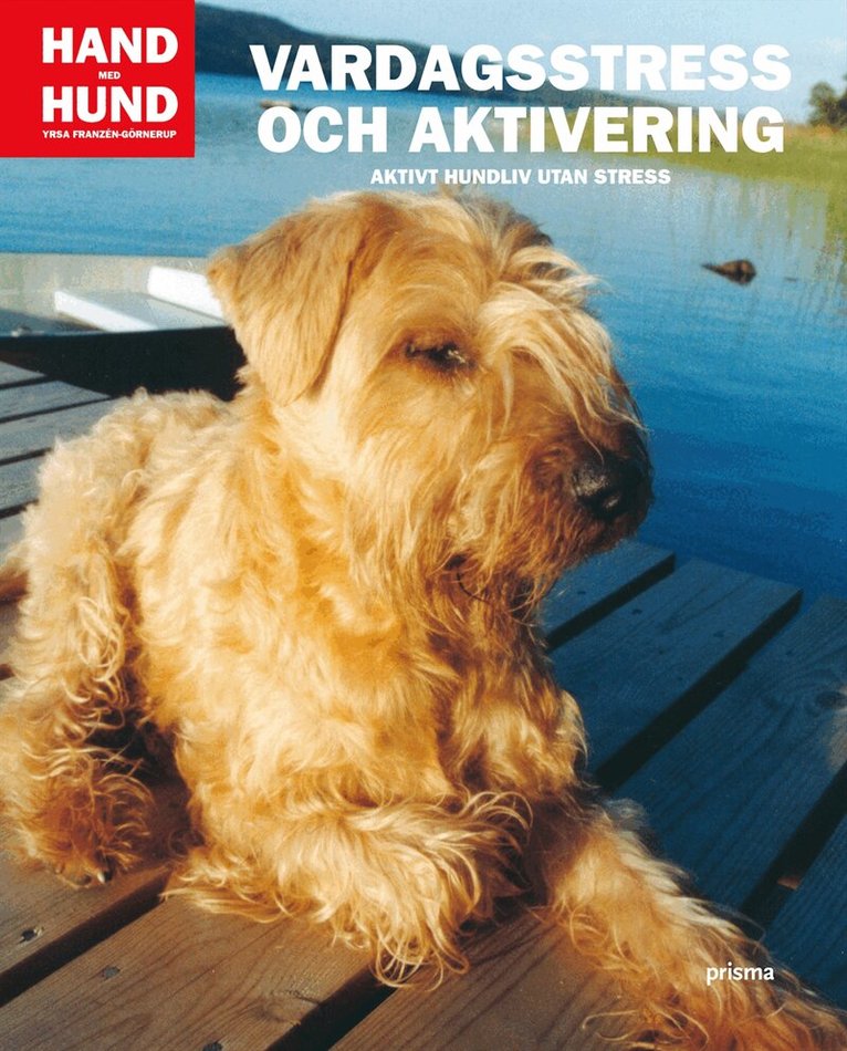 Yrsa Franzén-Görnerup - Vardagsstress och aktivering : aktivt hundliv utan stress, Kartonnage