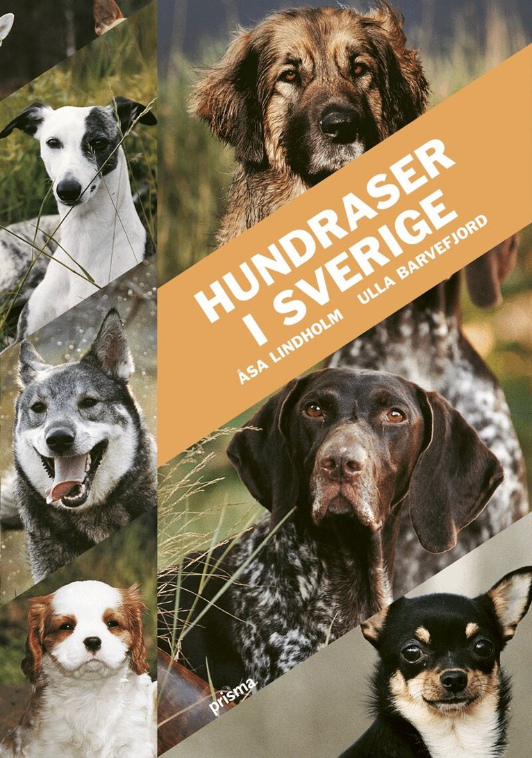 Åsa Lindholm, Ulla Barvefjord - Hundraser i Sverige, Kartonnage