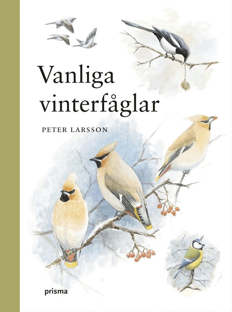 Peter Larsson - Vanliga vinterfåglar, Kartonnage