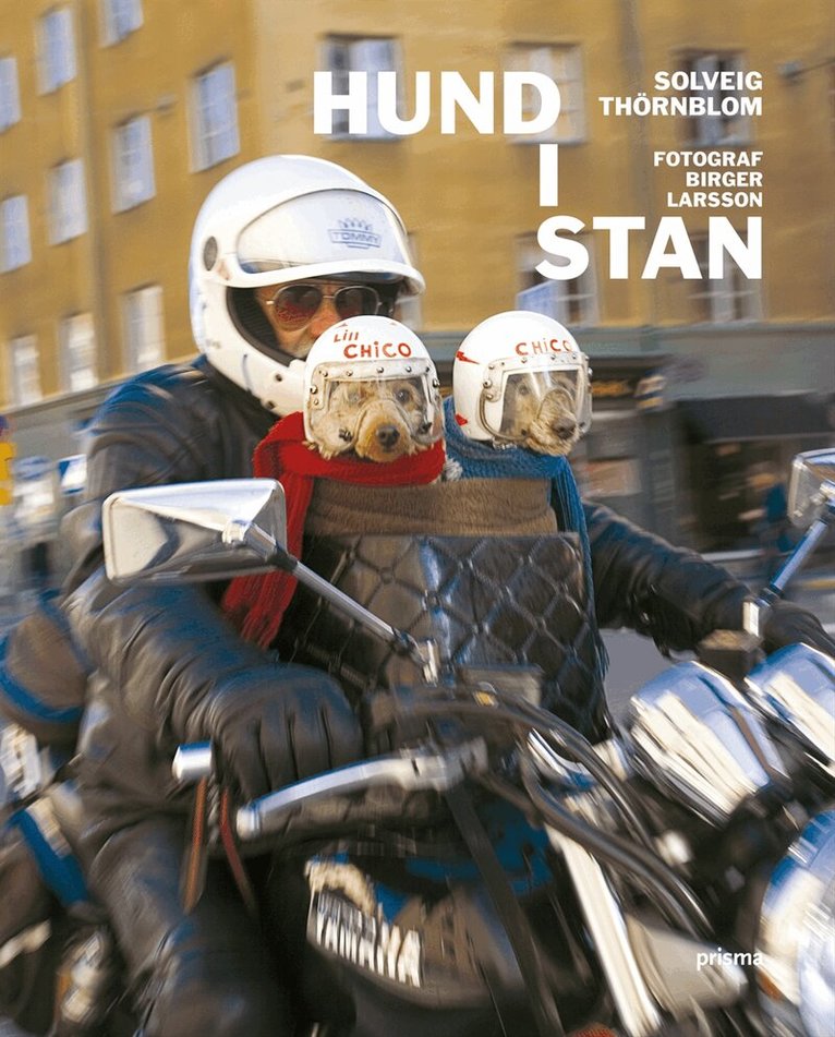 Solveig Sigridsdotter Thörnblom - Hund i stan, Inbunden