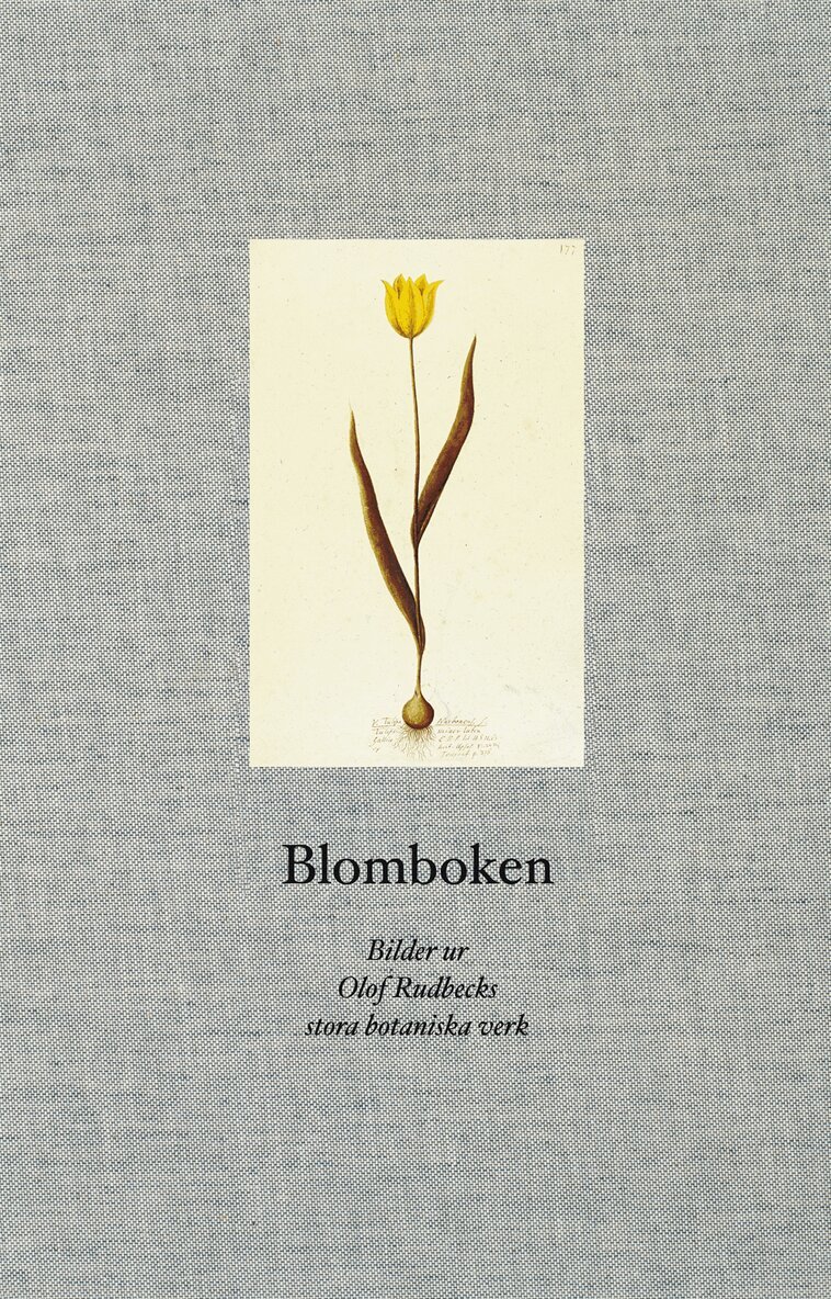 Karin Martinsson, Svengunnar Ryman - Blomboken : bilder ur Olof Rudbecks stora botaniska verk, Inbunden