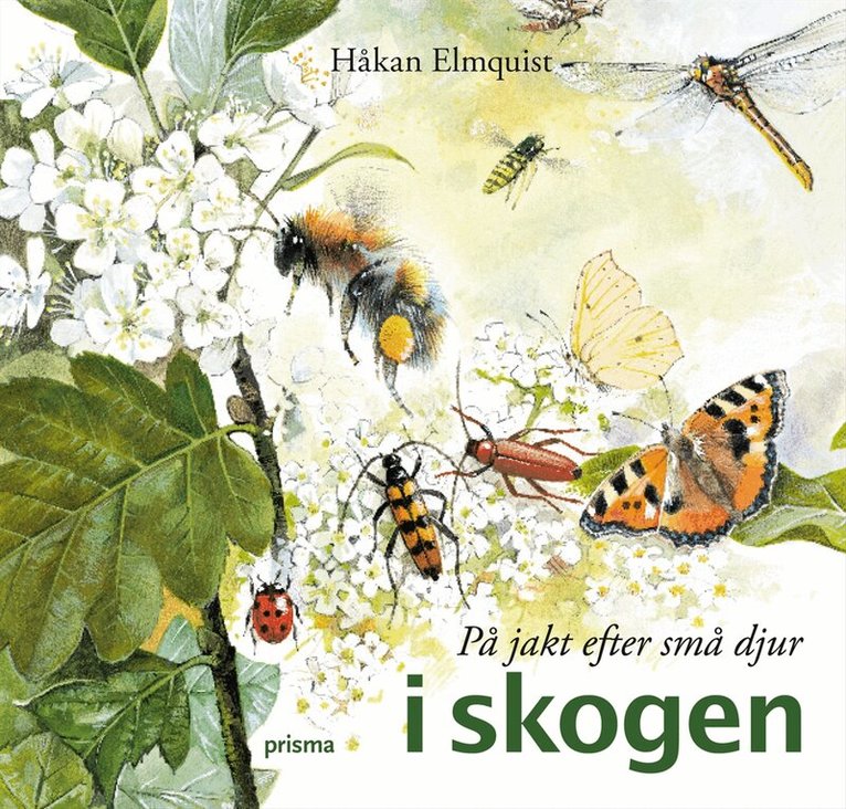 Håkan Elmquist - På jakt efter små djur i skogen, Kartonnage