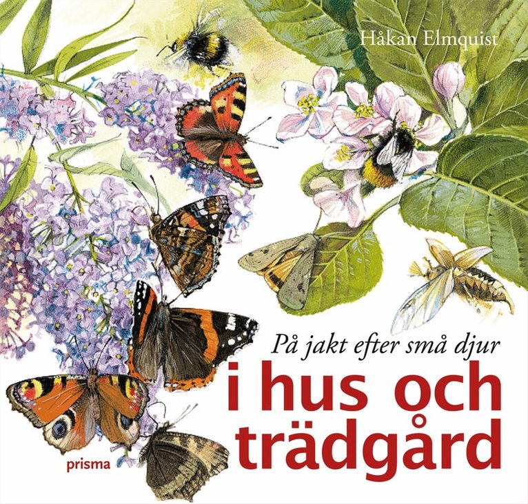 Håkan Elmquist - På jakt efter små djur i hus och trädgård, Inbunden