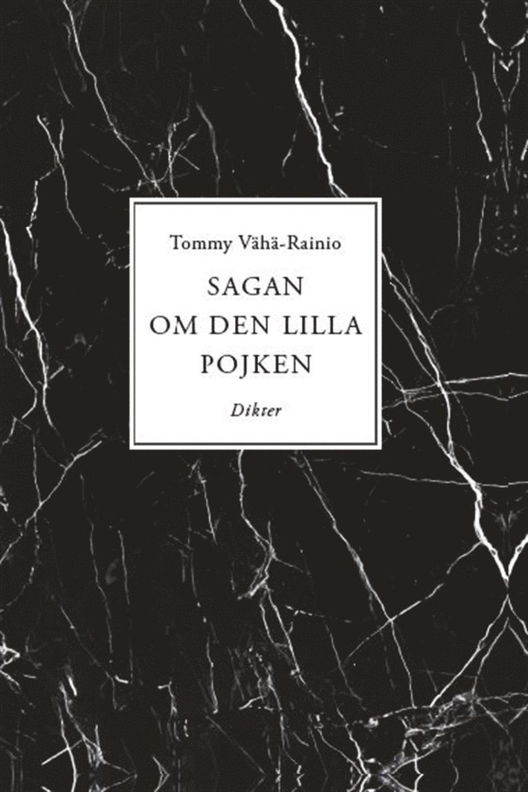 Tommy Vähä-Rainio - Sagan om den lilla pojken, E-bok